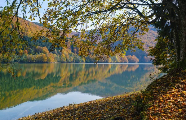 絵の湖の海岸に森の牧草地 テレブリヤ川のヴィルシャニー貯水池 トランスカルパティア ウクライナ カルパチア山脈の美しい秋の日 — ストック写真
