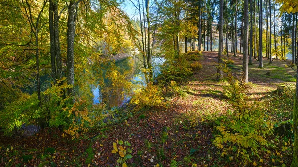 Forest Meadow Shore Picturesque Lake Vilshany Water Reservoir Tereblya River — Stock Photo, Image