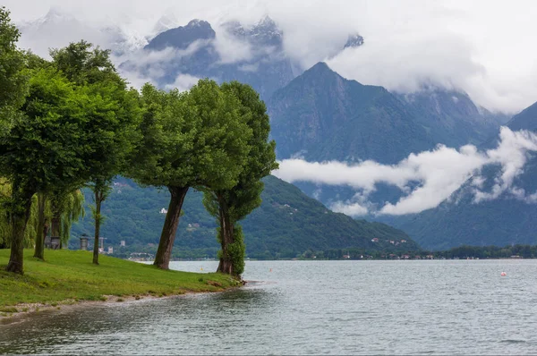 Lago Como Itália Vista Nublada Verão Com Árvores Costa — Fotografia de Stock