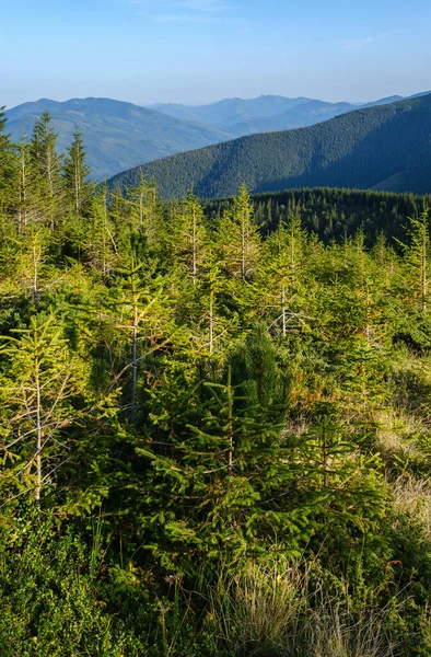 Nyári Kárpátok Esti Kilátás Stony Gorgany Massif Ukrajna — Stock Fotó