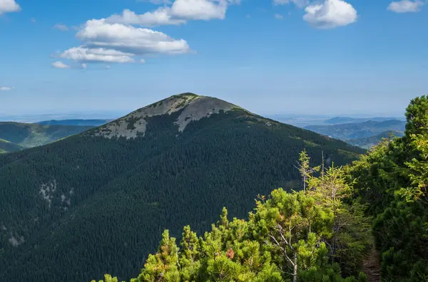 Verão Vista Das Montanhas Cárpatas Stony Gorgany Massif Ucrânia — Fotografia de Stock