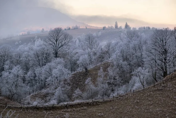 Vine Iarna Scenă Pitorească Pre Răsăritul Soarelui Deasupra Zonelor Rurale — Fotografie, imagine de stoc