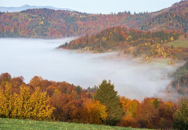 Ranní Mlhavé Mraky Podzimní Horské Krajině Ukrajina Karpaty Zakarpaty Klidné — Stock fotografie