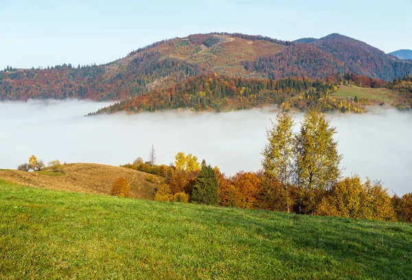 Ranní Mlhavé Mraky Podzimní Horské Krajině Ukrajina Karpaty Zakarpaty Klidné — Stock fotografie