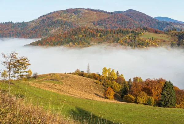 Ochtend Mistige Wolken Herfst Berglandschap Oekraïne Karpaten Transcarpathie Vreedzaam Pittoresk — Stockfoto