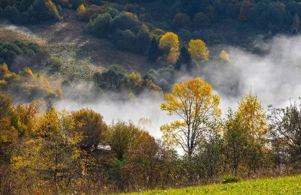 Mattina Nuvole Nebbiose Autunno Campagna Montana Ucraina Carpazi Transcarpazia Tranquillo — Foto Stock