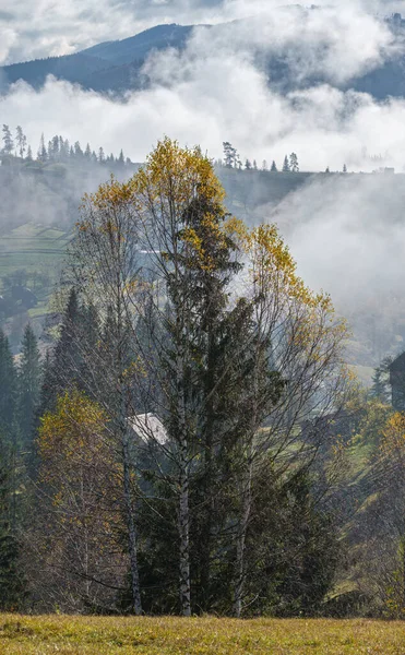 Утренние Туманные Облака Осенней Горной Местности Украина Карпаты Закарпатье Милое — стоковое фото