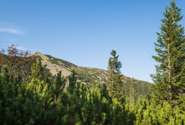 Yaz Karpat Dağları akşam manzarası. Stony Gorgany Massif, Ukrayna.