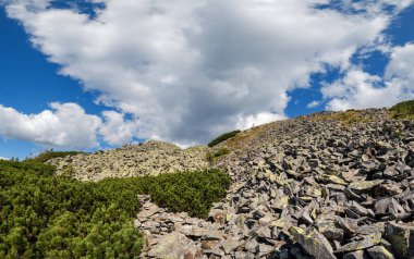 Yaz Karpat Dağları manzarası. Stony Gorgany Massif, Ukrayna.
