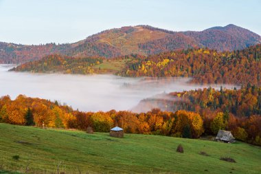 Sonbahar kırsalında sabah sisli bulutlar. Ukrayna, Karpat Dağları, Transcarpathia. Huzurlu manzaralı seyahat, mevsimsel, doğa ve kırsal güzellik konsepti.