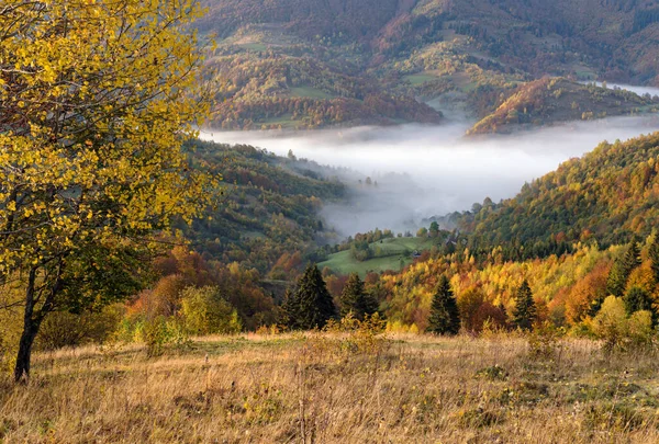 Morgondimmiga Moln Höstens Fjällbygd Ukraina Karpaterna Transcarpathia Fridfull Pittoresk Resa — Stockfoto