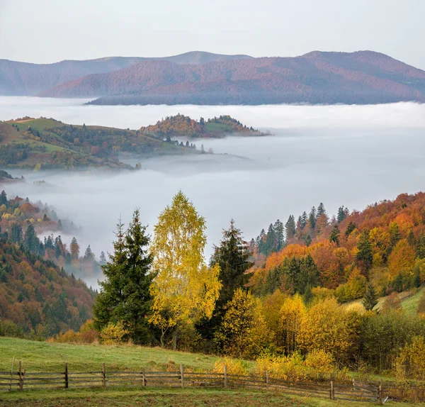 Cloudy Foggy Autumn Mountain Early Morning Pre Sunrise Scene Peaceful — Stock Photo, Image