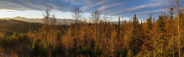Picturesque Sunrise Late Autumn Mountain Countryside Ukraine Carpathian Mountains Peaceful — Stock Photo, Image