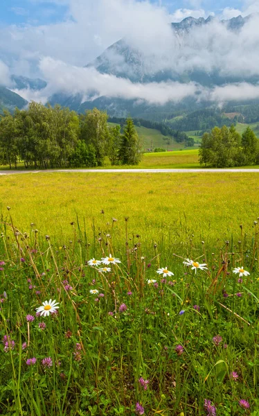 アルプスの山の牧草地静かな夏の景色 オーストリア — ストック写真
