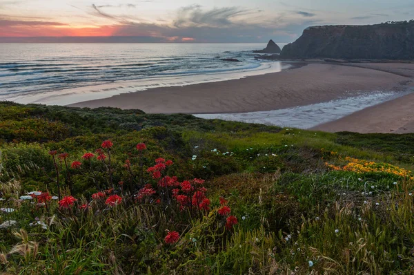 ピンクの夕日の海の風景と夏 Odecyxビーチ アルゼール アルガルヴェ ポルトガル — ストック写真