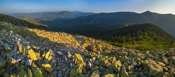 Nyári Kárpátok Esti Kilátás Stony Gorgany Massif Ukrajna — Stock Fotó