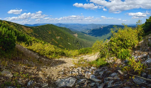 Verano Cárpatos Vistas Las Montañas Macizo Stony Gorgany Ucrania —  Fotos de Stock