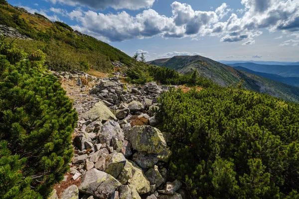 Sommar Karpaterna Utsikt Över Bergen Steniga Gorganiamassivet Ukraina — Stockfoto