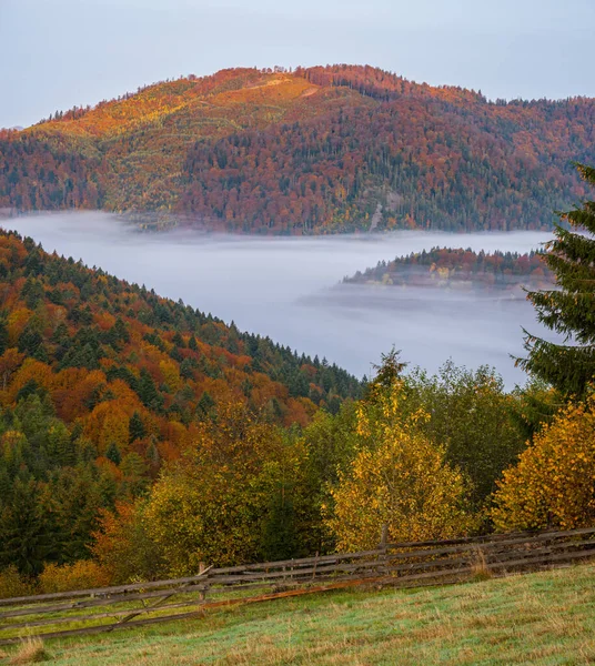 Nuageux Brumeux Automne Montagne Tôt Matin Avant Lever Soleil Scène — Photo