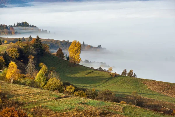 Nubes Nebulosas Mañana Otoño Campo Montaña Ukraine Carpathian Mountains Transcarpathia — Foto de Stock