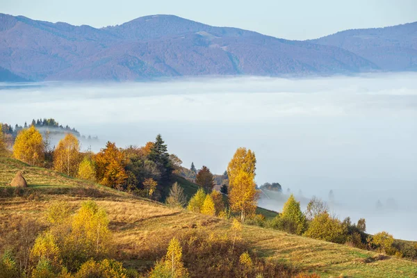 เมฆหมอกตอนเช าในชนบทภ เขาฤด ใบไม เครน เขา Carpathian Transcarpathia การเด นทางท — ภาพถ่ายสต็อก