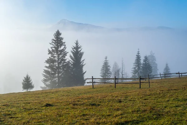 Niebla Otoño Montaña Amanecer Escena Paisaje Pintoresco Pacífico Estacional Naturaleza — Foto de Stock