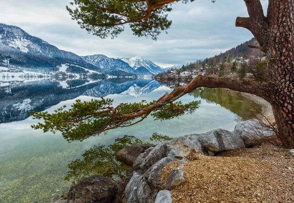 多云的冬季高山湖Grundlsee景观 奥地利 有高大的松树和奇异的图案反射水面和岸上的松树 — 图库照片