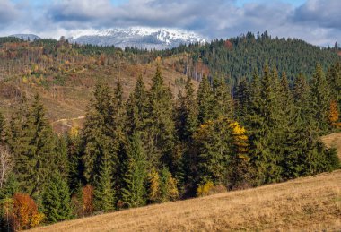 Sonbahar sonu dağ manzarası, karla kaplı uzak vadilerde sisli bulutlar. Resimli seyahat, mevsimlik, doğa ve kırsal güzellik konsepti. Karpatlar, Ukrayna.