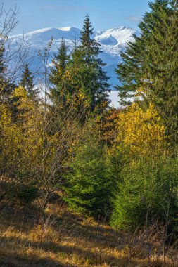 Sonbahar sonu dağ manzarası, karla kaplı uzak vadilerde sisli bulutlar. Resimli seyahat, mevsimlik, doğa ve kırsal güzellik konsepti. Karpatlar, Ukrayna.