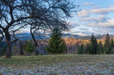 Sonbaharın sonlarında gün batımından önce, tepeleri karla kaplı bir dağ manzarası. Resimli seyahat, mevsimlik, doğa ve kırsal güzellik konsepti. Karpatlar, Ukrayna.
