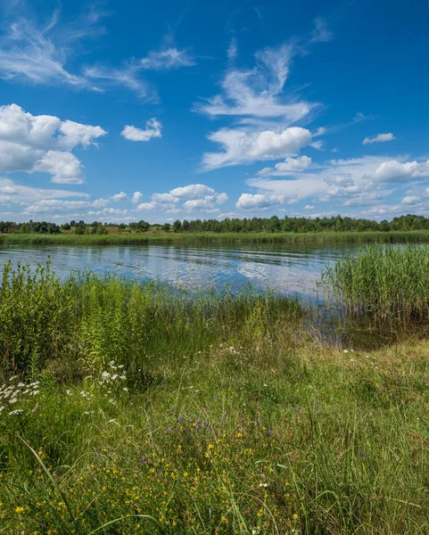 Pequeno Lago Apressado Pitoresco Sol Dia Verão — Fotografia de Stock