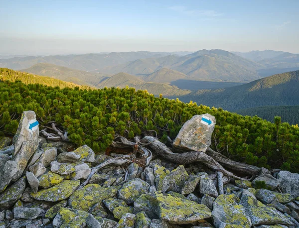 Sommar Karpaterna Berg Kväll Utsikt Steniga Gorganiamassivet Ukraina — Stockfoto