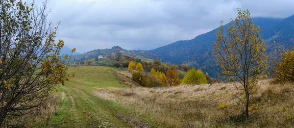 Wazig Bewolkt Herfst Karpaten Vuile Platteland Pad Oekraïne — Stockfoto