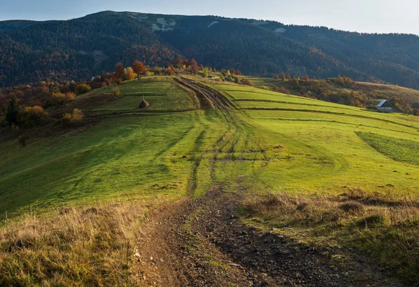 Otoño Montañas Cárpatos Camino Sucio Campo Ucrania —  Fotos de Stock