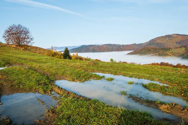 Dunstig Und Bedeckt Herbst Karpaten Und Schmutzige Landschaft Pfad Ukraine — Stockfoto