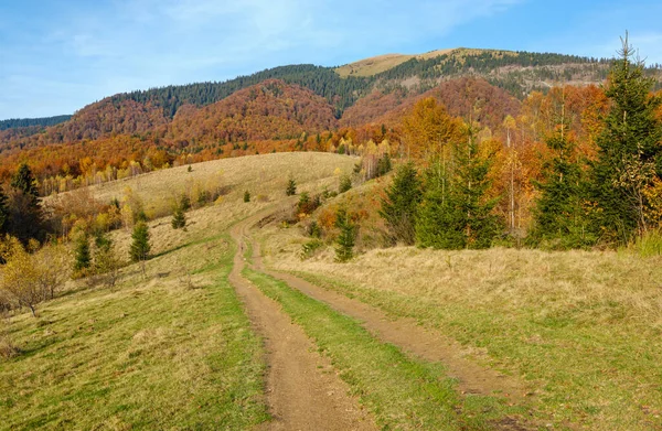 Otoño Montañas Cárpatos Camino Sucio Campo Ucrania — Foto de Stock