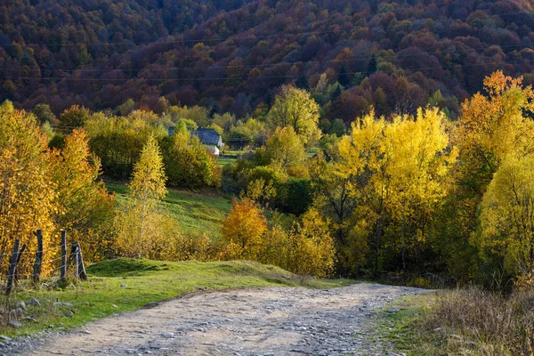 Jesienne Karpaty Brudna Wiejska Ścieżka Ukraina — Zdjęcie stockowe