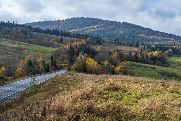 Mlhavé Zatažené Karpaty Dálnice Horském Průsmyku Ukrajina — Stock fotografie