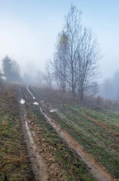 Foggy Automne Montagne Lever Soleil Scène Calme Voyage Pittoresque Saisonnier — Photo