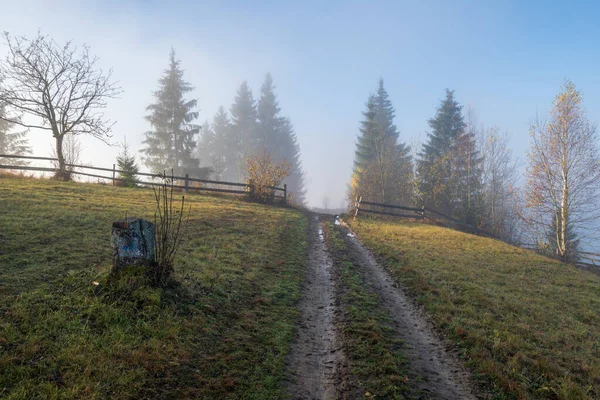 Mistige Herfst Berg Zonsopgang Scène Vreedzaam Pittoresk Reizen Seizoensgebonden Natuur — Stockfoto