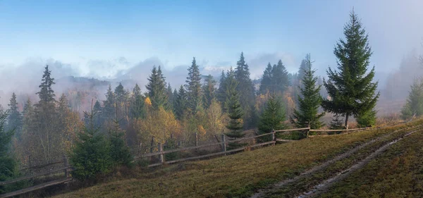 Mistige Herfst Berg Zonsopgang Scène Vreedzaam Pittoresk Reizen Seizoensgebonden Natuur — Stockfoto