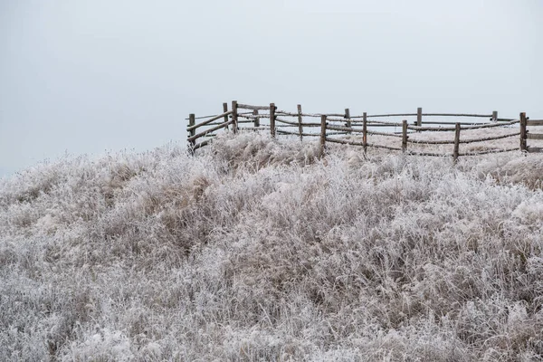 Winter Komt Eraan Pittoreske Mistige Humeurige Pre Zonsopgang Scène Late — Stockfoto