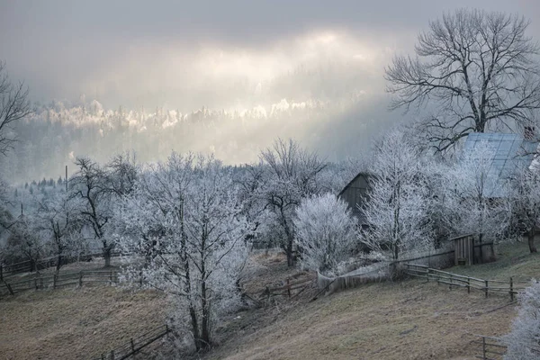 Viene Invierno Pintoresca Escena Antes Del Amanecer Sobre Paisaje Montañoso —  Fotos de Stock