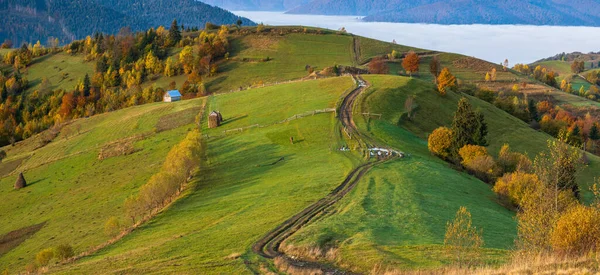 Nuage Brumeux Matin Dans Campagne Montagneuse Automne Ukraine Montagnes Des — Photo