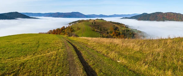 Ranní Mlhavé Mraky Podzimní Horské Krajině Ukrajina Karpaty Zakarpaty Klidné — Stock fotografie