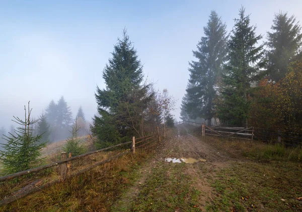 Mistige Herfst Berg Zonsopgang Scène Vreedzaam Pittoresk Reizen Seizoensgebonden Natuur — Stockfoto