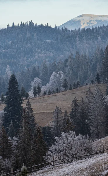 Viene Invierno Pintoresca Escena Matutina Brumosa Malhumorada Campo Montañoso Finales —  Fotos de Stock