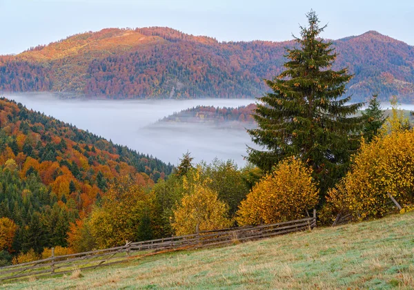 Bewolkt Mistig Herfst Berg Vroege Ochtend Pre Sunrise Scene Vreedzaam — Stockfoto