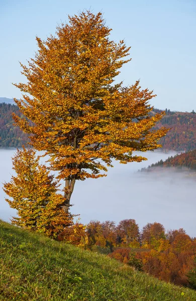 Morning Foggy Clouds Autumn Mountain Countryside Ukraine Carpathian Mountains Transcarpathia — Stock Photo, Image