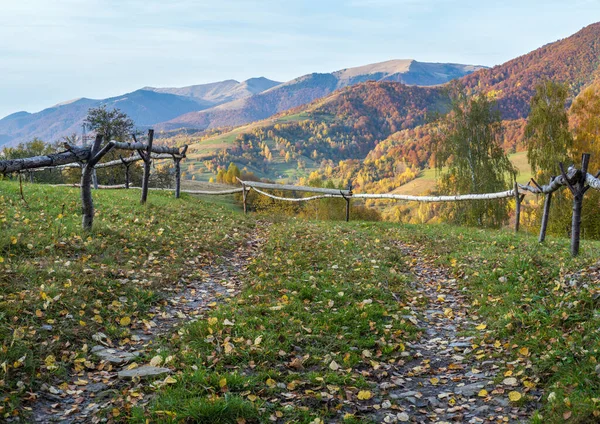 Podzimní Karpaty Špinavá Krajinná Stezka Ukrajina — Stock fotografie